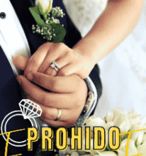 «Prohibido Enamorarse [trilogía D’ Angelo #1]» de Emily Tapia