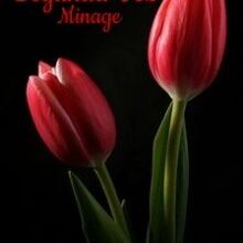 «Segunda Vez» de Minage