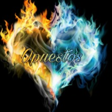 «Opuestos» de Paloma de Leon