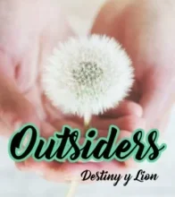 «Outsiders 6. Destiny y Lion» de Moruena Estríngana